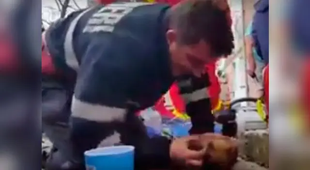 Bombero rumano salva a perro dándole respiración boca a boca