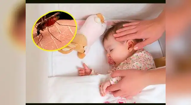 El fuego repele a los mosquitos El fuego repele a los mosquitos