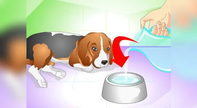 Mantener agua disponible, en buena cantidad y adecuada calidad