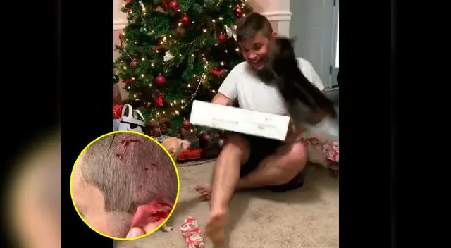 Su alegría se vio interrumpida