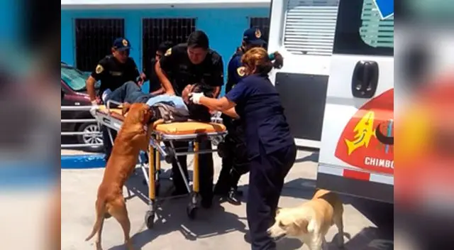 Ocurrió en una calle de Chimbote