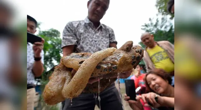 El pescador se volvió famoso gracias a su hallazgo El pescador se volvió famoso gracias a su hallazgo