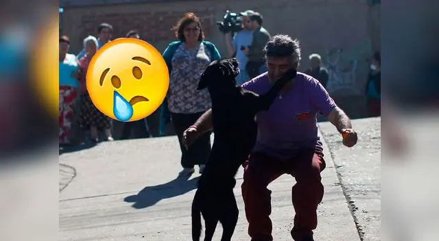 Así fue el emotivo reencuentro entre un perro y su dueño