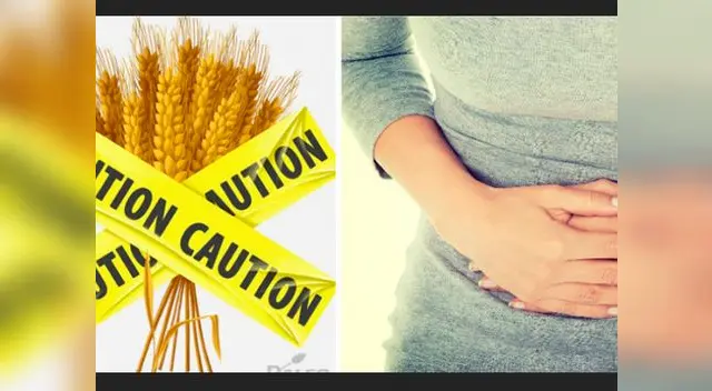 Alimentos como el pan, las pastas, los cereales y la cerveza, contienen gluten Alimentos como el pan, las pastas, los cereales y la cerveza, contienen gluten