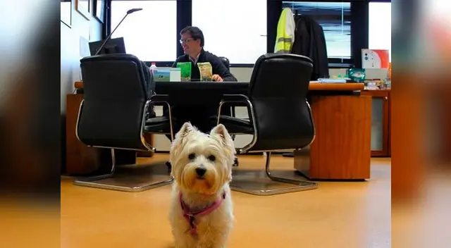  Empresas multinacionales con sede en Buenos Aires siguen esta nueva tendencia