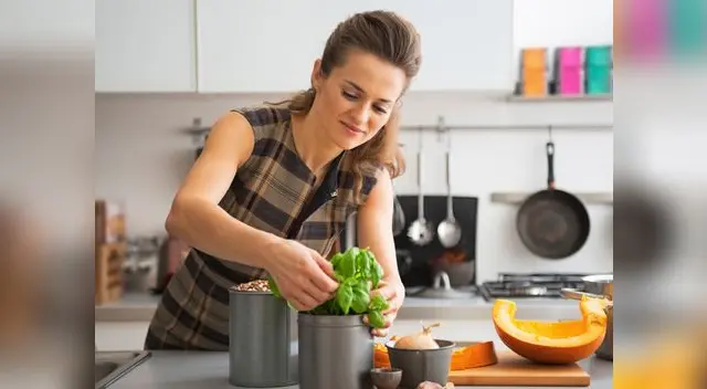 Hierbas aromáticas para cocinar