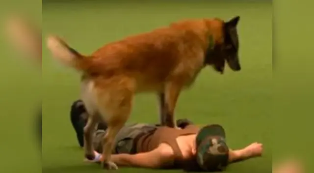 Perro sorprendió con sus trucos y habilidades 