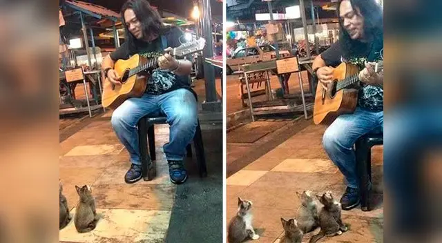 4 gatitos se detienen a escuchar a un músico callejero 4 gatitos se detienen a escuchar a un músico callejero
