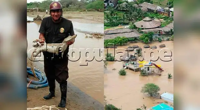 Fotos Cortesía Rogger Ñopo Olazábal Fotos Cortesía Rogger Ñopo Olazábal