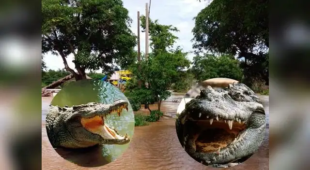 ¡Cuidado! ¡Cuidado!