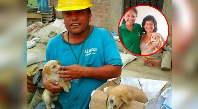 Feliz en su nuevo hogar