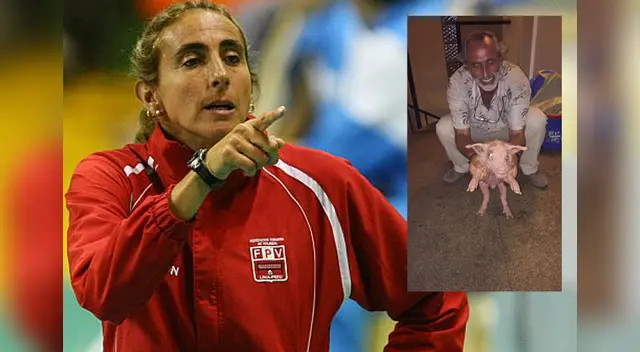 Adoptaron cerdito damnificado por huaicos