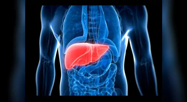 Se recomienda hacer un estudio anual con una ecografía abdominal 