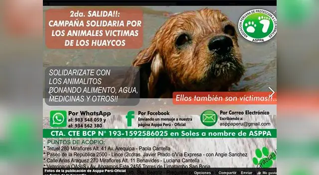 Súmate a esta campaña de solidaridad para nuestros amigos de cuatro patas
