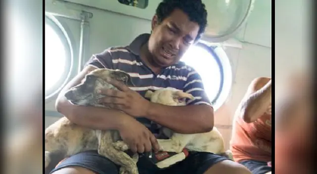 Hombre no contuvo las lágrimas tras volver a ver a sus mascotas