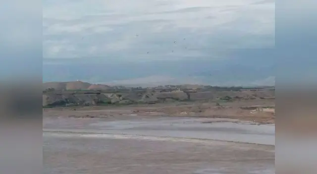 El mar de Huacho se retira y vecinos creen que pasará lo peor El mar de Huacho se retira y vecinos creen que pasará lo peor