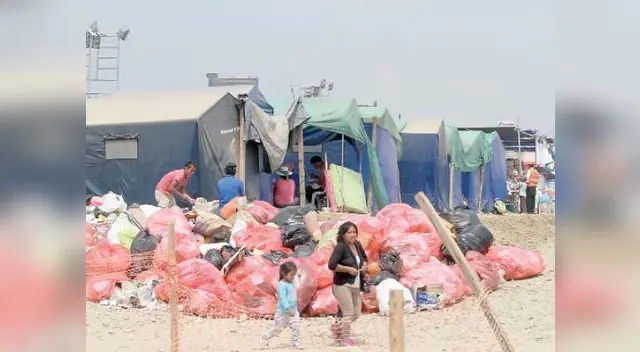 Hay que tomar precauciones por la aparición de mosquitos