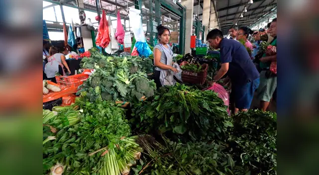 Más de 11 mil toneladas de alimentos ingresaron esta mañana el Mercado Mayorista de Santa Anita Más de 11 mil toneladas de alimentos ingresaron esta mañana el Mercado Mayorista de Santa Anita