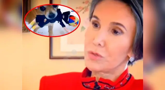 Perro de Florinda Meza juega con muñeco de Kiko 