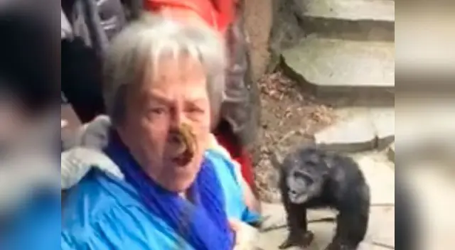 Abuelita pasó ingrato momento por culpa de un oso Abuelita pasó ingrato momento por culpa de un oso