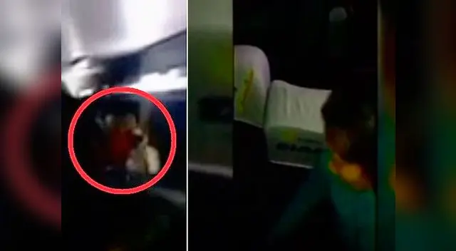 Roedores aterrorizaron a más de un pasajero