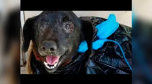 Caso fue registrado en Facebook Caso fue registrado en Facebook