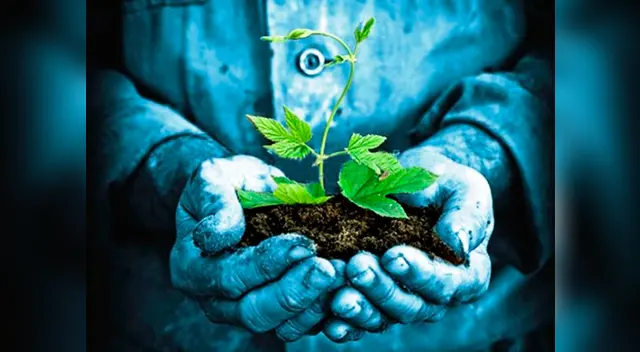 La esperanza de vida de la Tierra cada vez se ve más afectada La esperanza de vida de la Tierra cada vez se ve más afectada