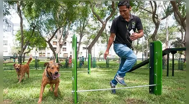 Adopción se realizará frente al Pentagonito, en San Borja
