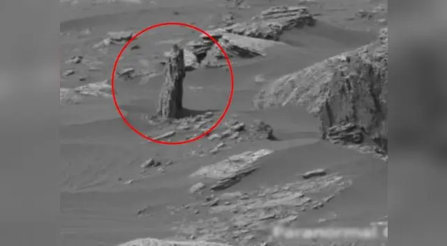 Video demostraría existencia de vida en Marte Video demostraría existencia de vida en Marte