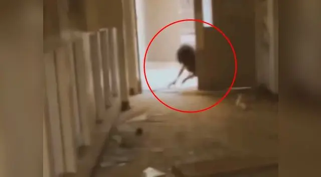 Jóvenes ingresan a hospital psiquiátrico abandonado y encuentran lo peor