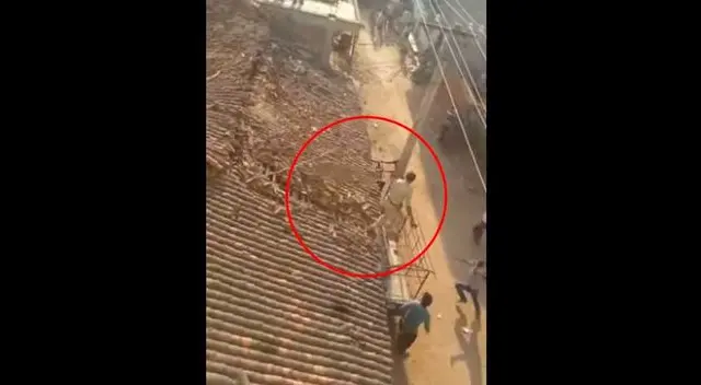 Hombre salta desde un tejado para evitar ser atrapado por un leopardo Hombre salta desde un tejado para evitar ser atrapado por un leopardo