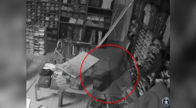 Ladrón ingresa a una tienda a robar, pero todo le sale mal
