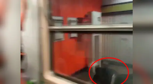 Las personas sufrieron fuertes golpes Las personas sufrieron fuertes golpes