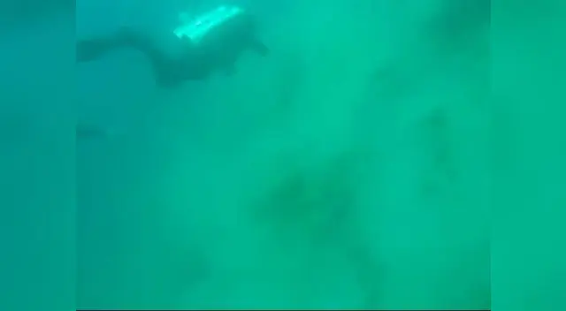 Buzos registran cómo se vive un sismo en el fondo del mar Buzos registran cómo se vive un sismo en el fondo del mar