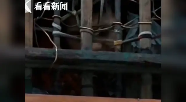 El hombre lucía pálido y muy delgado El hombre lucía pálido y muy delgado