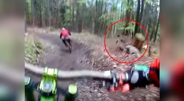 Hombres paseaban por una montaña hasta que algo los atacó