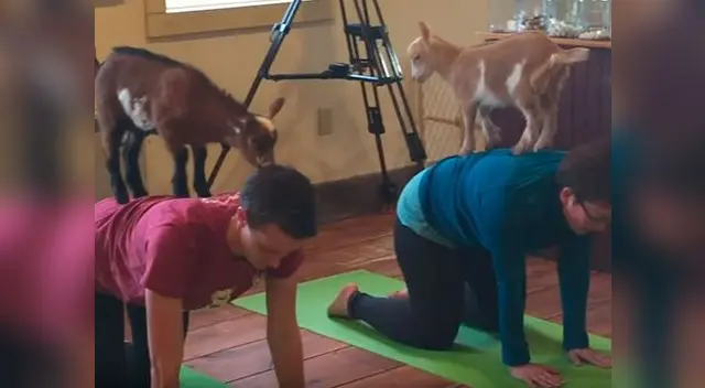 Original técnica se está poniendo de moda en Estados Unidos Original técnica se está poniendo de moda en Estados Unidos