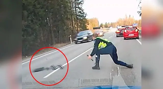 Policía detiene a un vehículo en fuga con esta increíble acción