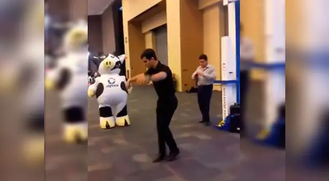 Una "vaca" y un hombre se enfrentan en épico duelo de baile Una "vaca" y un hombre se enfrentan en épico duelo de baile