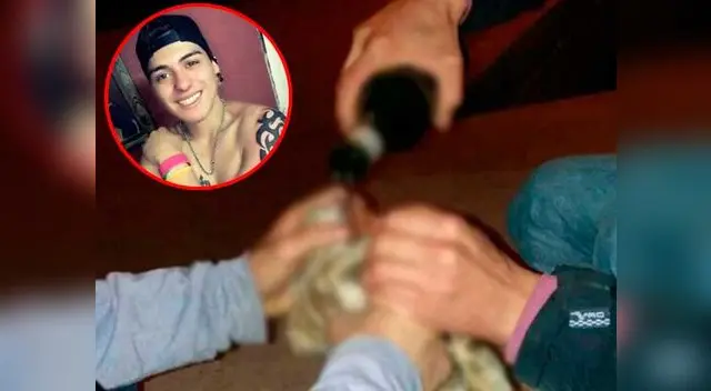 gato es embriagado por jovenes y ahogado gato es embriagado por jovenes y ahogado