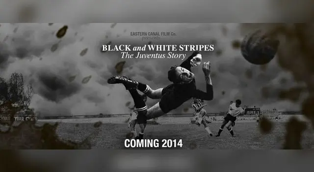 Afiche de la película ‘Black and White stripes’