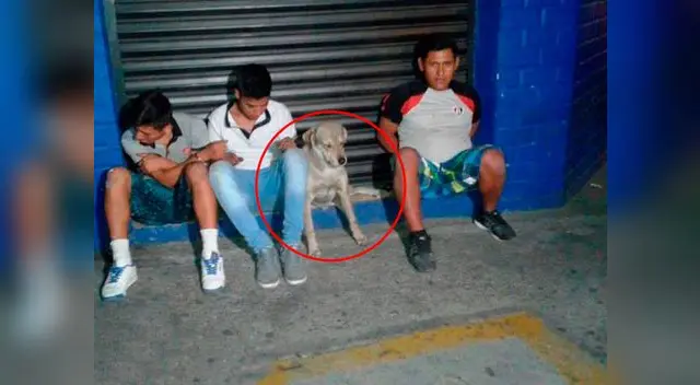 Perro que fue detenido con su dueño se convierte en meme Perro que fue detenido con su dueño se convierte en meme