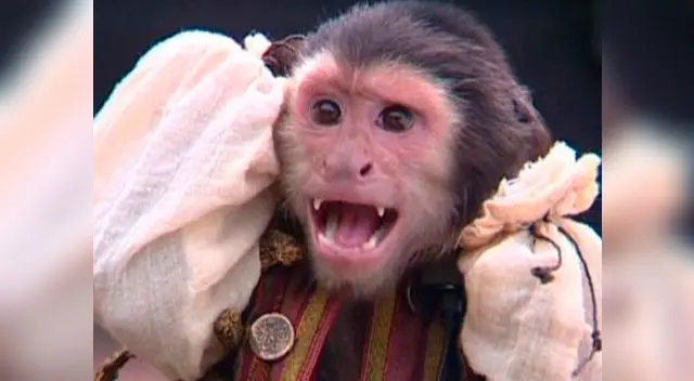 Piratas del Caribe se ve opacado por la denuncia de maltrato animal durante su rodaje