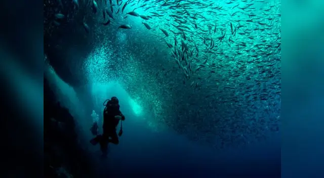 El mar está contaminado