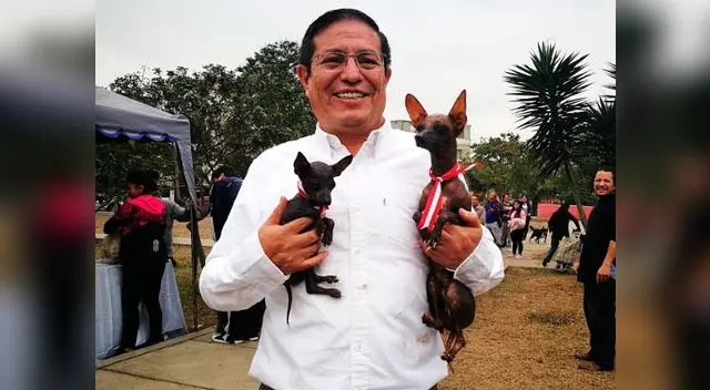 Conoce al perro sin pelo, una raza canina peruana que otros países intentan quitarnos Conoce al perro sin pelo, una raza canina peruana que otros países intentan quitarnos