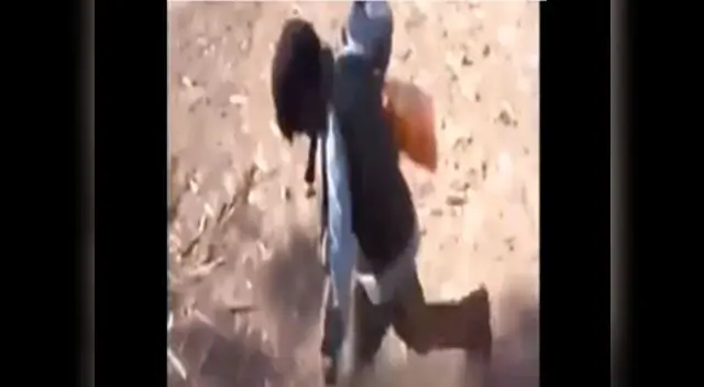 Ministerio Público de Huancavelica inició investigación por caso de niños embriagados 