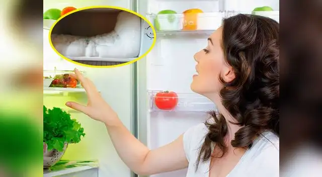 Descongela tu refrigerador y te ahorrarás en el recibo de electricidad Descongela tu refrigerador y te ahorrarás en el recibo de electricidad