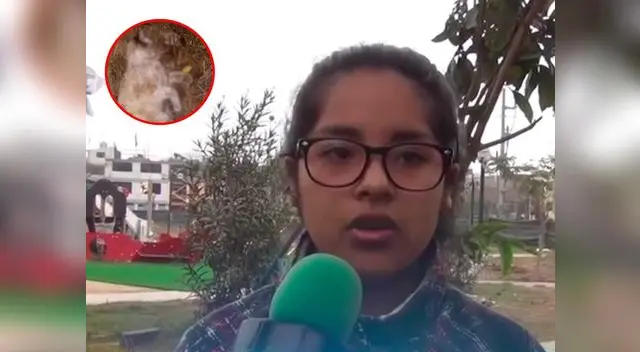 Testigo dijo que caso de zoofilia preocupa a los vecinos