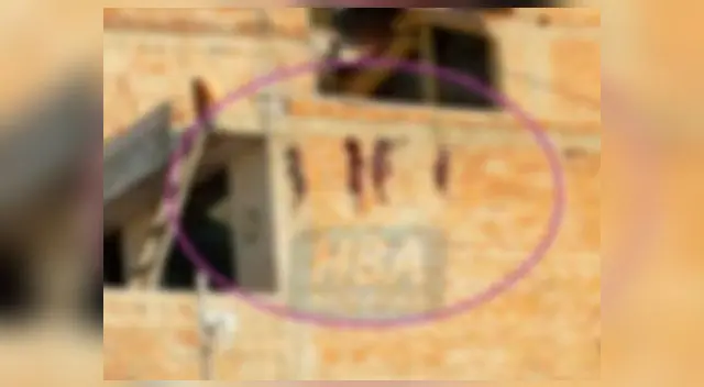 Perros fueron colgados con total crueldad en Arequipa Perros fueron colgados con total crueldad en Arequipa