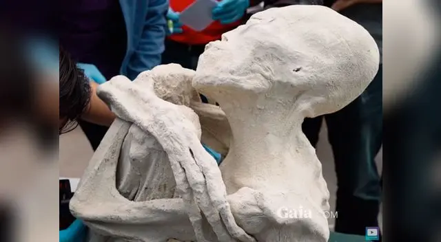 Esta momia con figura humanoide ha conmocionado a las redes sociales.